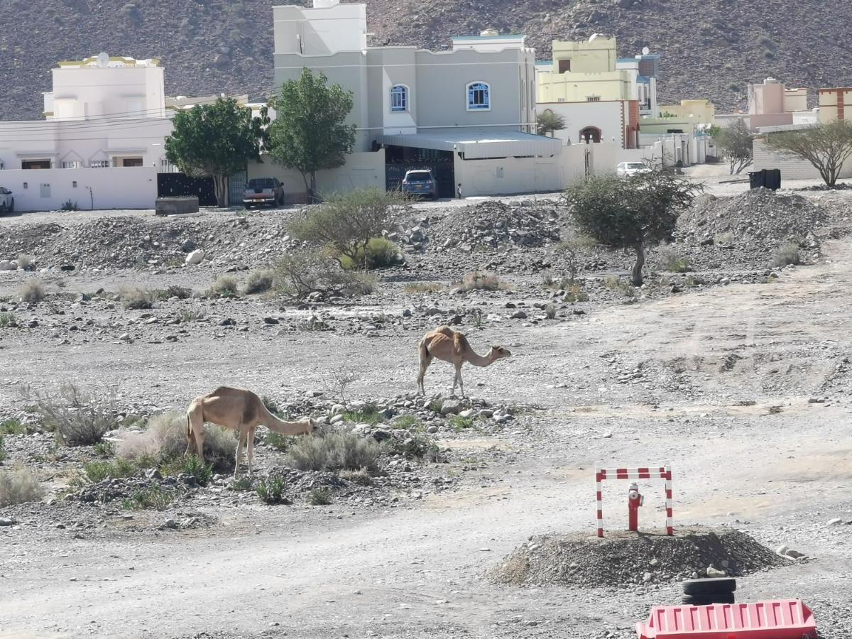 228Hostel Al Ḩamrāʼ Bagian luar foto